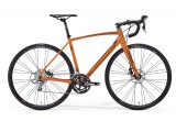 Merida Ride Disc 300 (2016)