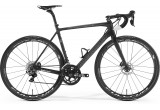 Merida Scultura Disc Team (2017)