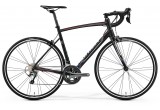 Merida Ride 300-KIT-FRM (95050)